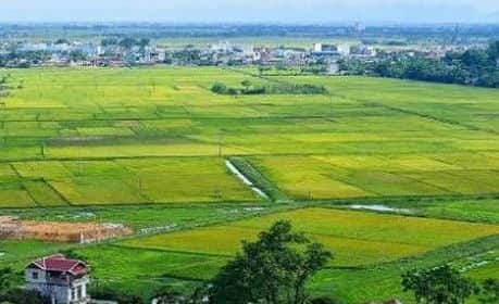 Diện tích tối thiểu tách thửa tại Phú Thọ