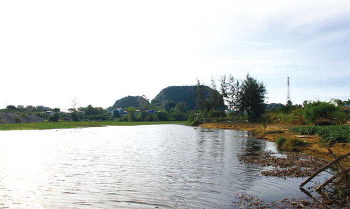 Khoithongconduongtolua