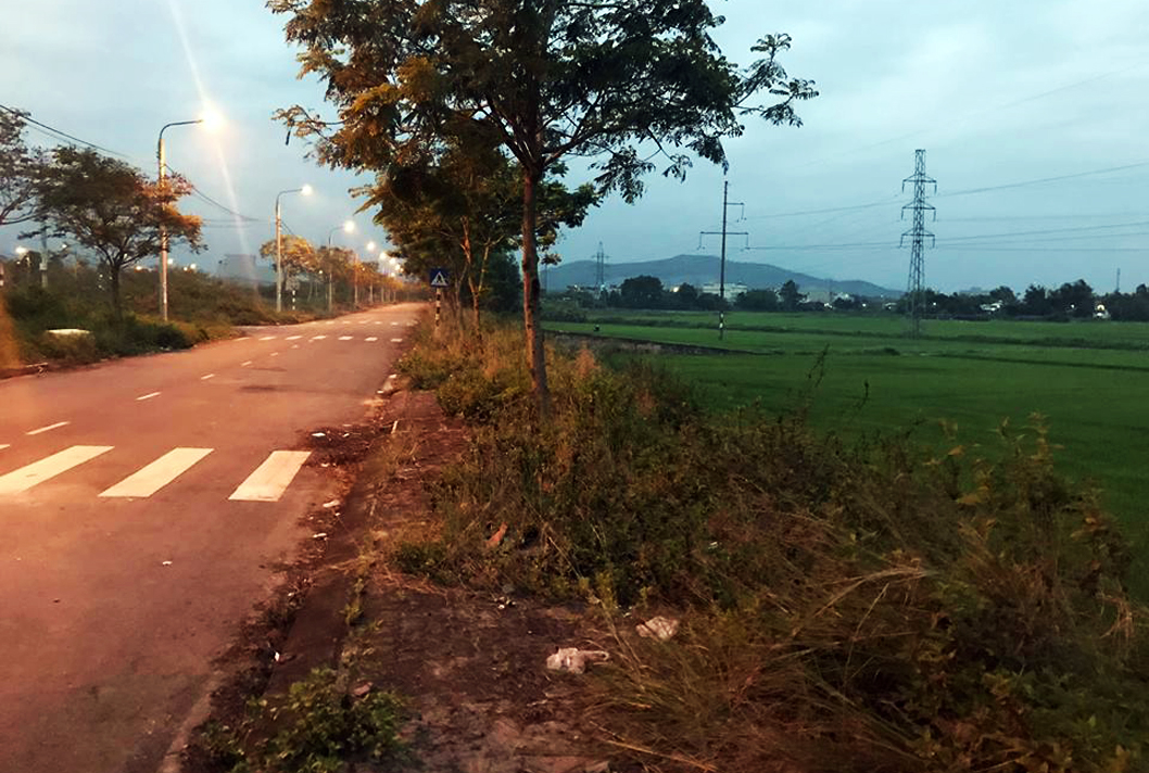 Cò thổi giá, quê nghèo chao đảo