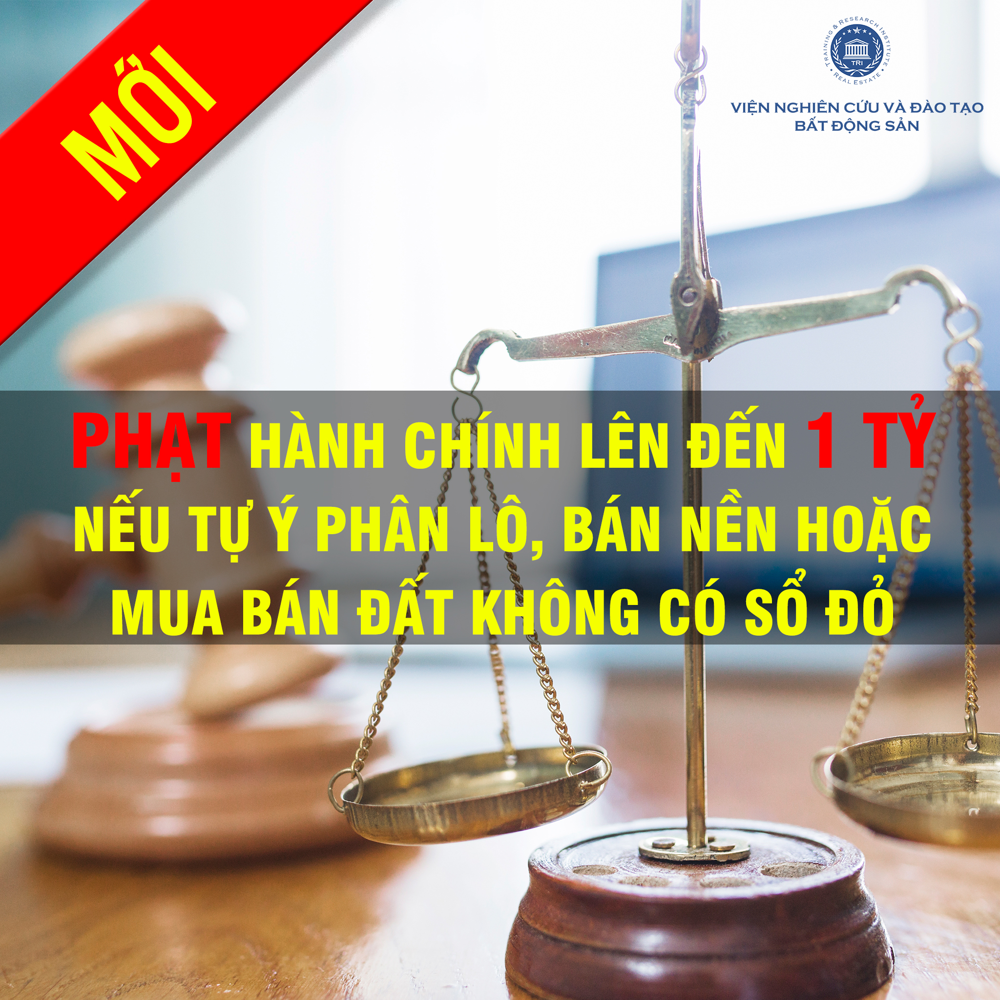 Phat_hanh_chinh_len_den_1_ty_neu_tu_y_phan_lo_ban_nen_hoac_mua_ban_dat_khong_co_so_do_3