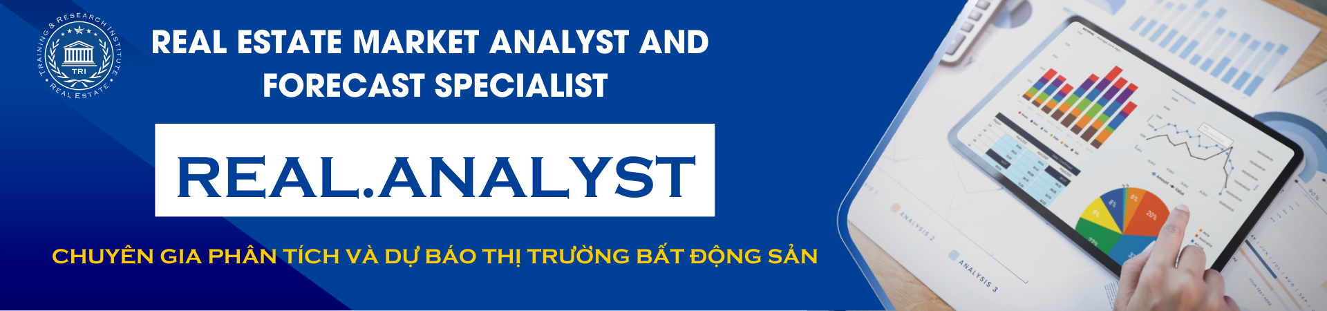 Real Analyst Chuyen Gia Phan Tich Va Du Bao Thi Truong Bat Dong San